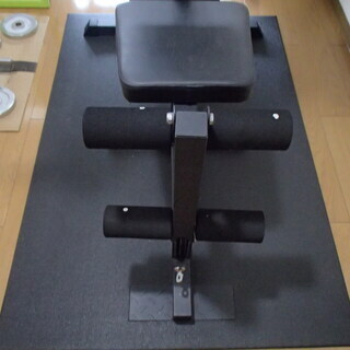 YouTen / BAR WINGホームジム 最大重量80キロ