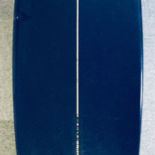 ファンボード サーフィン ワンシーズンのみ使用