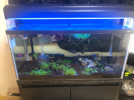90センチ水槽 フルセット
