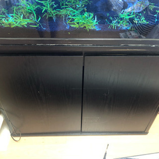 90センチ水槽 フルセット