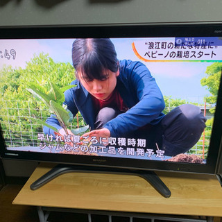 シャープ 42型 液晶テレビ