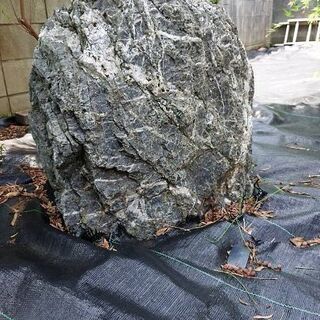 ☆植木・庭石【作業中の損害保険などに加入されている業者の