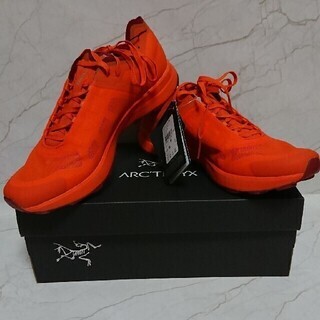 psa10・2連番】サーナイトexsar 348/190 101/078-アークテリクス