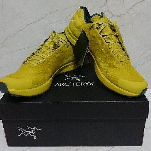 アークテリクス Norvan SL GORETEX イエロー