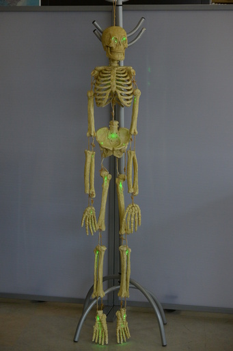 光る骸骨 吊り下げ型 等身大 人体骨格模型 Skeleton With Led Light ハロウィンスケルトン Ken 三条の模型 プラモデルの中古あげます 譲ります ジモティーで不用品の処分