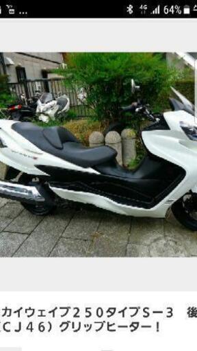 スカイウェブ250