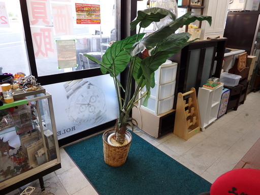 観葉植物人工フェイク グリーン造花高さ 最大160cm 幅 最大115cm新札幌 トップ新札幌店 新札幌のその他の中古あげます 譲ります ジモティーで不用品の処分