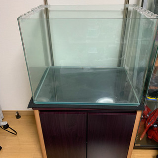水槽 海水セット
