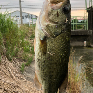 バス釣り情報共有しましょ😀