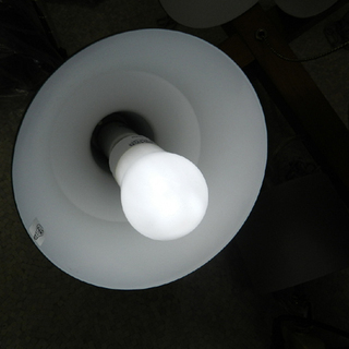 スナフキン クロス ペンダントライト 4灯 照明 北欧テイスト 天吊り LED電球使用可 グリーン SNAFKIN CROSS ☆ PayPay(ペイペイ)決済可能 ☆ 札幌市 北区 屯田 スナフキン クロス ペンダントライト 4灯 照明 北欧テイスト 天吊り