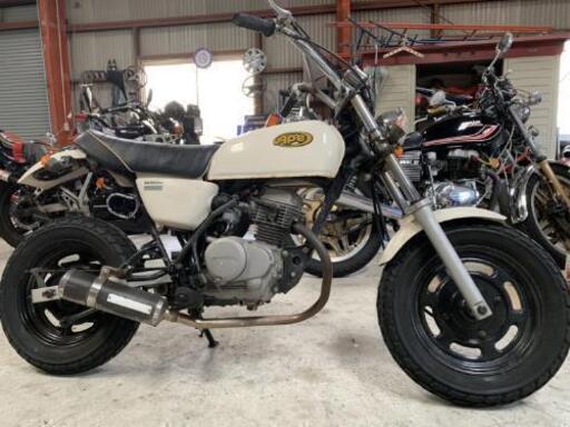 【キック一発】HONDA  Ape エイプ50 実働