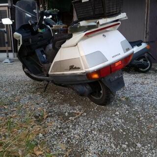 チョイ乗りセカンドバイクに❗️格安❗️実動❗️ホンダ　フュージョン250 セル一発始動　動画あり