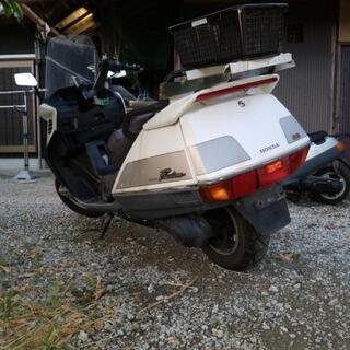 チョイ乗りセカンドバイクに❗️格安❗️実動❗️ホンダ　フュージョン250 セル一発始動　動画あり