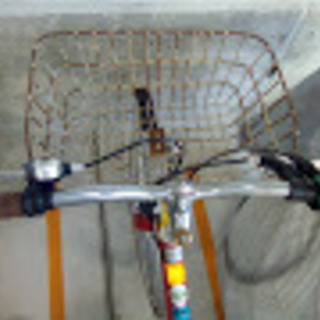 IGNINO自転車