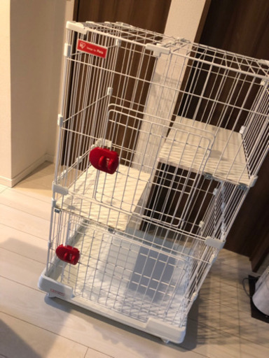 キャットケージ ゲージ 猫