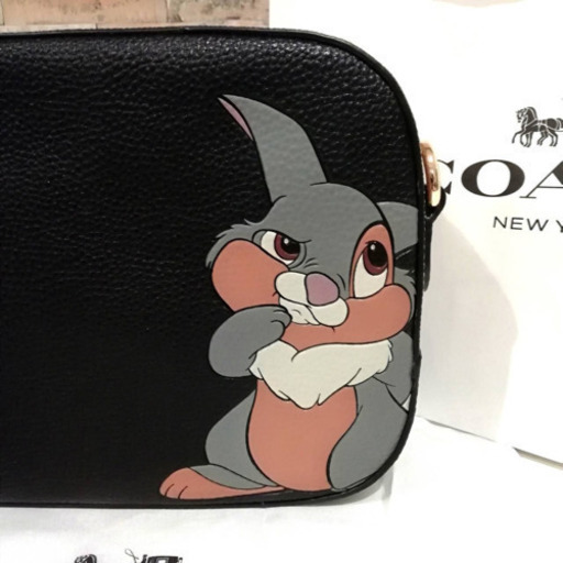 DISNEY X COACH カメラ バッグ ウィズ タンパー