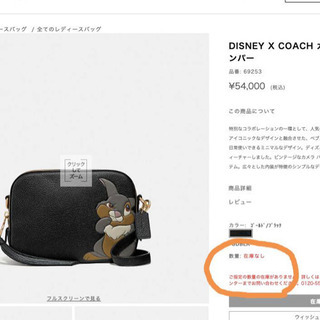DISNEY X COACH カメラ バッグ ウィズ タンパー