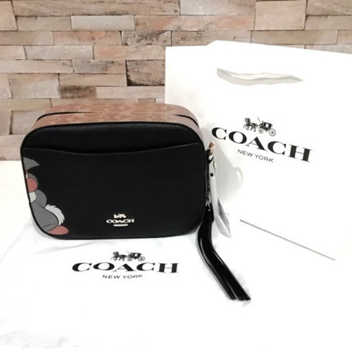 Disney X Coach カメラ バッグ ウィズ タンパー Luana 福岡のバッグ ショルダーバッグ の中古あげます 譲ります ジモティーで不用品の処分