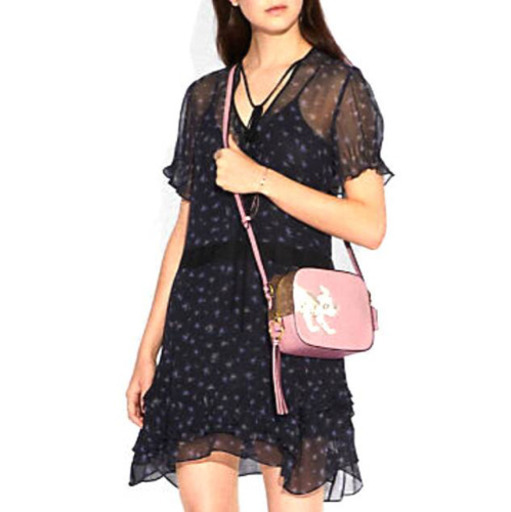 新品 DISNEY X COACH カメラ バッグ ウィズ ダルメシアン