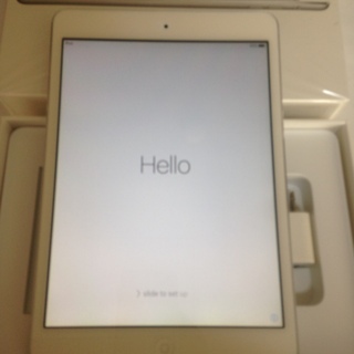 Apple ipad mini（16GB）