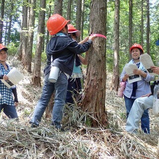 「水源林見学会」の参加者募集 - 中津川市