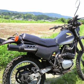 中古バイク　HONDA XL250R（MD03）実動車