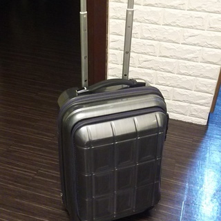 スーツケース PANTHEON 53cm 31L 4.0Kg フ...