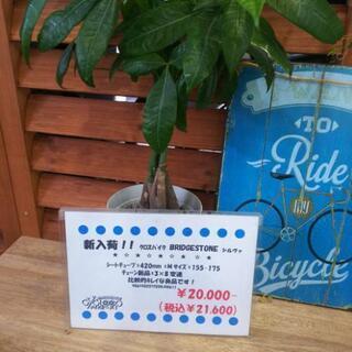 中古 ブリヂストン クロスバイク シルヴァ