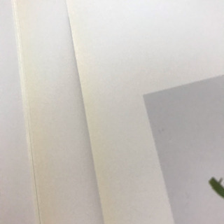 フラワーアレンジメント 著名デザイナー写真集