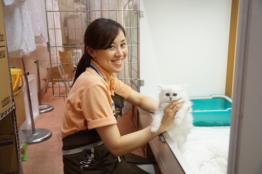 ペットショップstaff 資格不要 カワイイ動物たちに囲まれてお仕事 犬や猫などペットの販売や管理 店舗運営 マネジメント 月給 Uc 矢野口のその他の正社員の求人情報 ペット家族 稲城押立店 ジモティー ペットショップstaff 資格不要 カワイイ動物たちに囲まれてお仕事 犬や猫などペットの販売や管理 店舗運営 マネジメント 月給 Uc 矢野口のその他の正社員の求人情報 ペット家族 稲城押立店 ジモティー
