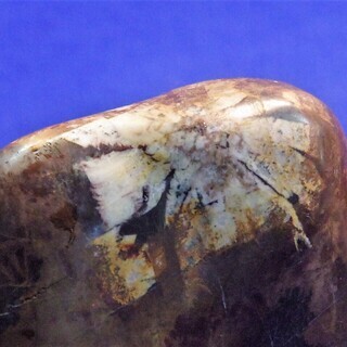 鑑賞石 約1.0kg 岐阜菊花石 鉱物標本 水石 盆石