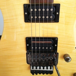 DEAN Custom 350 Floyd Gloss Natural 弦楽器、ギター 