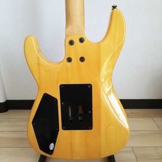 DEAN Custom 350 Floyd Gloss Natural 弦楽器、ギター 