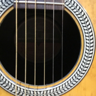 2399 DrexelStarfield アコースティックギター SD-20