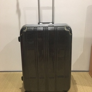 SKIPIO2 スキピオ キャリーバッグ Mサイズ スーツケース...