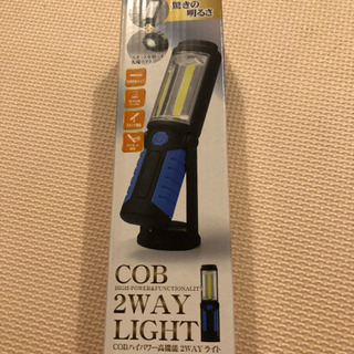 COB 2Way Light