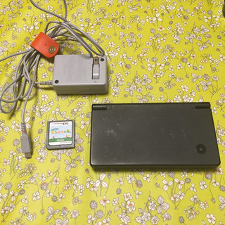 ニンテンドーDSI おいでよどうぶつの森 充電器セット