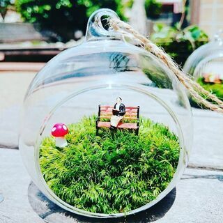 苔テラリウムのワークショッブ3です🍀