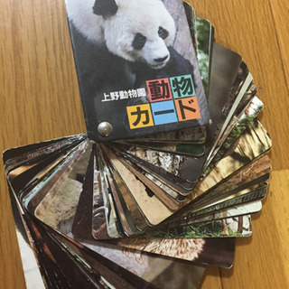上野動物園 動物カード 