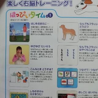 はっぴいタイム(七田式DVD)