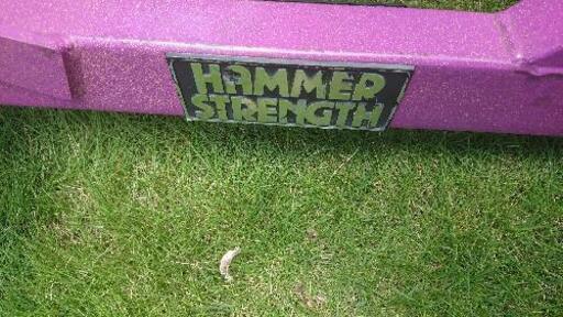 送料込】HAMMER STRENGTH アジャスタブルベンチ［プロ・スタイル