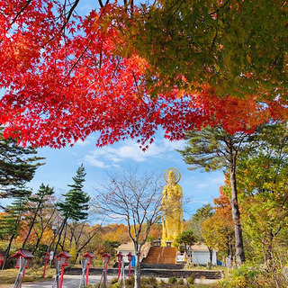 田沢湖金色大観音 - 仙北市