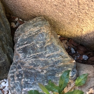 小型の庭石