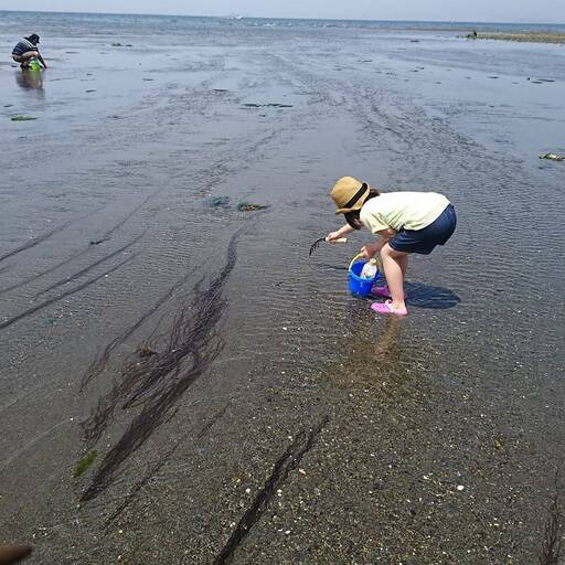 6 22 土 潮干狩り 木更津方面 潮干狩りしてみませんか さかなくん 足立の自然体験の生徒募集 教室 スクールの広告掲示板 ジモティー 6 22 土 潮干狩り 木更津方面 潮干狩りしてみませんか さかなくん 足立の自然体験の生徒募集 教室 スクールの広告掲示板 ジモティー