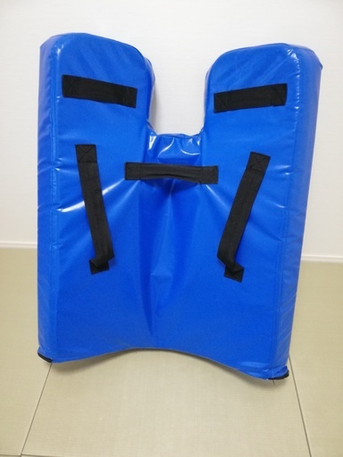 ダミーミットジュニアロータスクラブ (はらはら) 川崎のスポーツの中古