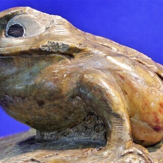 石蛙　作家不明　カエル　彫刻 石蛙 作家不明 カエル 彫刻