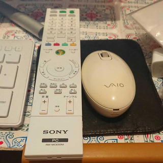 ソニ-VPCL22AJ特別注文24型テレビ可
