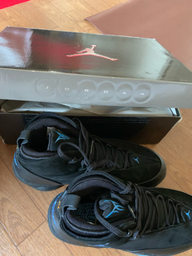 Team Jordan melo men’s shoes