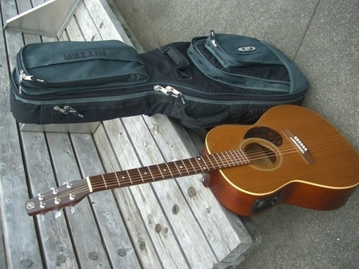 ★取引完了★Seagull Coastline S6 Folk Cedar 「L.R.Baggs」のピックアップ搭載 （改良品）