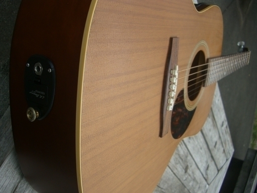 ★取引完了★Seagull Coastline S6 Folk Cedar 「L.R.Baggs」のピックアップ搭載 （改良品）